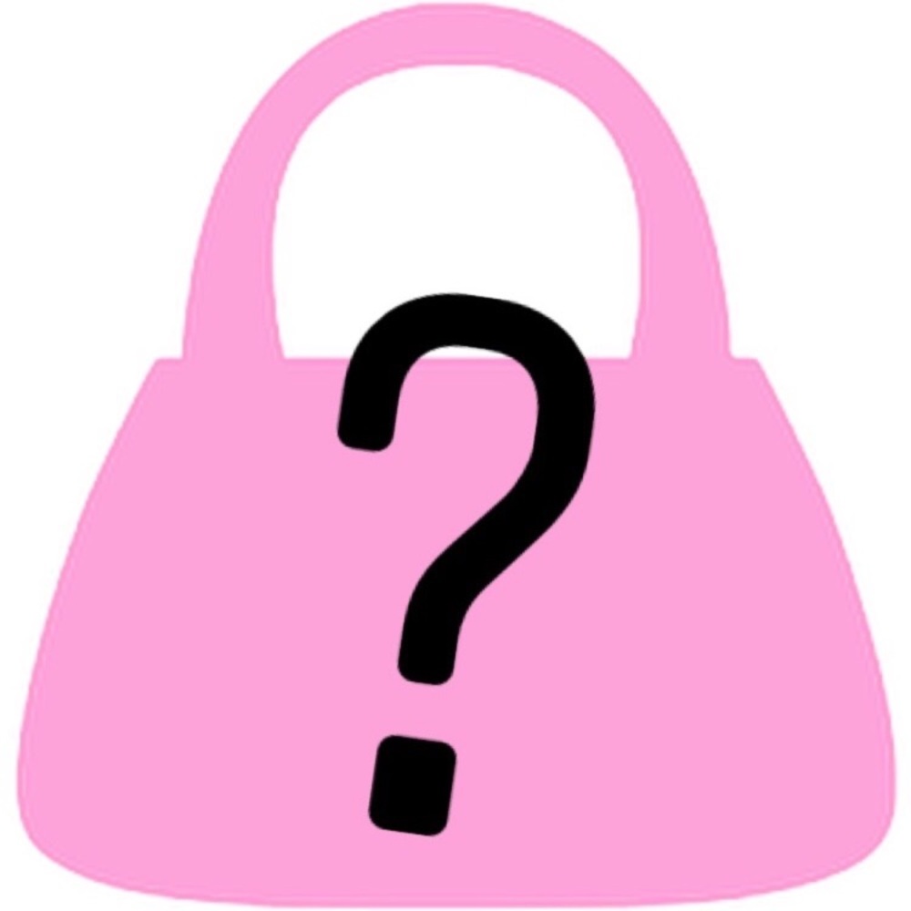 $40 NWT Surprise Handbag & freebies
